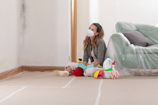 Reliable Mold Cleanup contractor in New Market, TN by Cheap Mold Removal